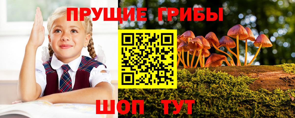 Псилоцибиновые грибы прущие грибы  Вход с VPN  Корсаков  Псилоцибиновые грибы мухоморы 